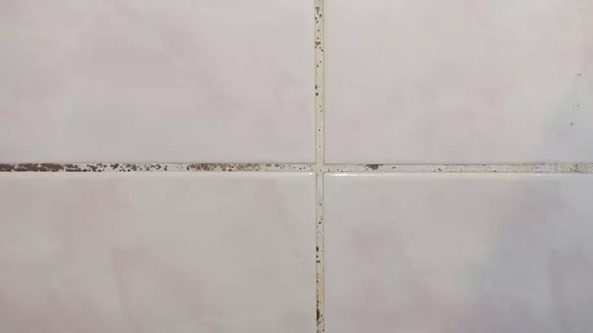 Grout pens in the bathroom — why they don't work